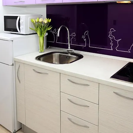 Apartment Cozy In With Kitchen Split